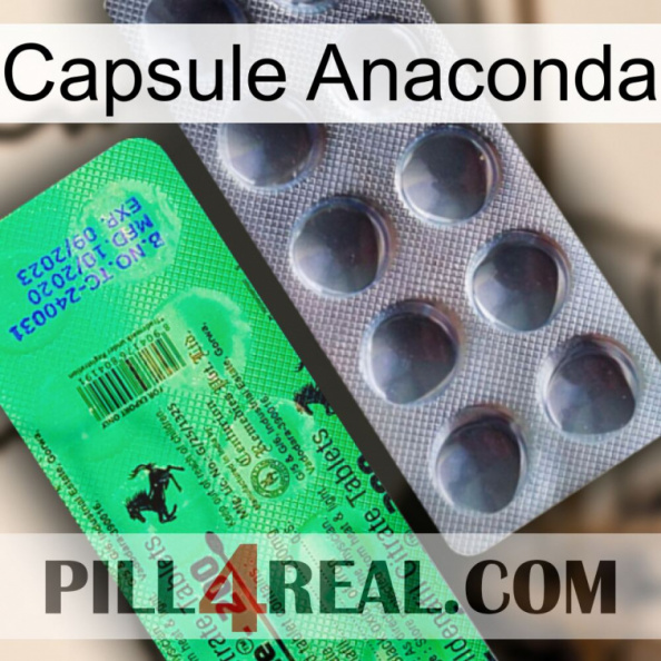 Anaconda Capsule new04